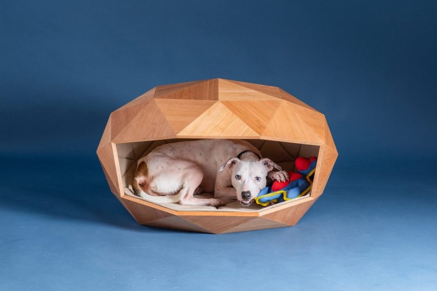 5 необычных дизайнерских будок для собак