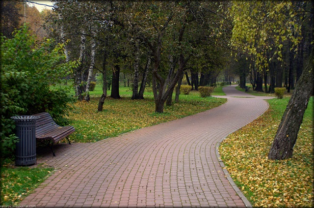 Скамейки парковые
