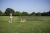 Туннель AGILITY СП 001-9