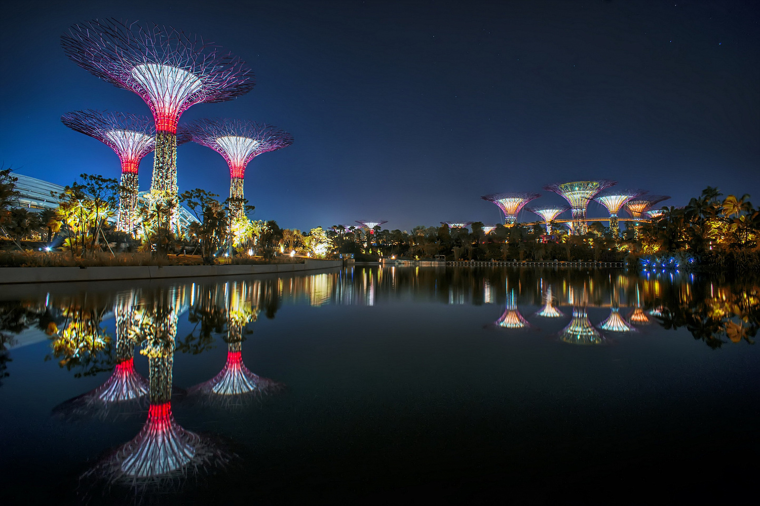 Gardens by the Bay: футуристический сад в Сингапуре, где природа встретилась с технологиями